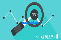 SEO优化的正确方式